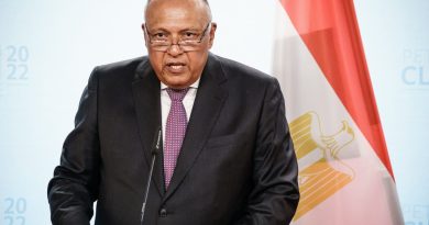 Breaking news: Il Ministro degli Esteri Shoukry si reca in Italia per partecipare al MED di Roma – Dialoghi mediterranei – Daily News Egypt