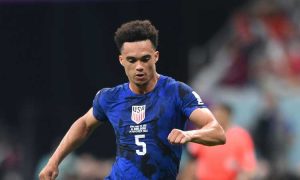 Newcastle, obiettivo Robinson per gennaio