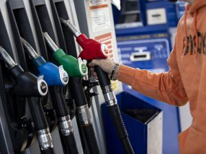Il Tesoro chiama la Guardia di Finanza. Contro gli sciacalli si muove la Procura