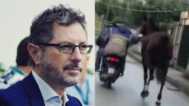 Cavallo trainato con lo scooter: l’indignazione di Borrelli sul web