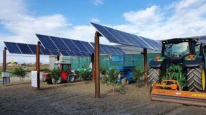Produrre contemporaneamente energia e mele, la scommessa in Alto Adige