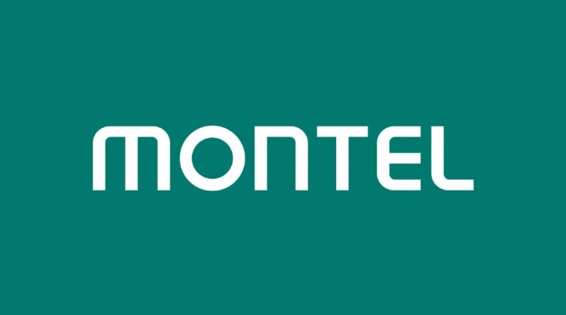 Breaking news: Il GSE italiano assegna il 6% della capacità nell’ultima asta verde – Montel