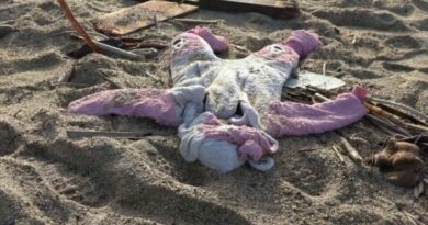 Gli oggetti sulla spiaggia di Crotone: la testimonianza silenziosa del naufragio