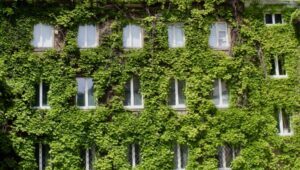 Case green, dal cappotto agli infissi: ecco i lavori (e i costi) necessari per fare il doppio salto di classe energetica