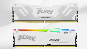Kingston Fury, memorie Beast e Renegade vestite di bianco