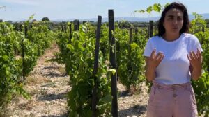 Arianna Occhipinti: “Con la viticoltura salviamo il territorio”