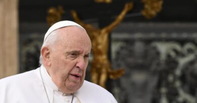 Pensioni, Papa a Inps: la previdenza funziona grazie a nuove generazioni