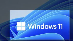 Esplora Risorse di Windows 11: finalmente una galleria degna del suo nome