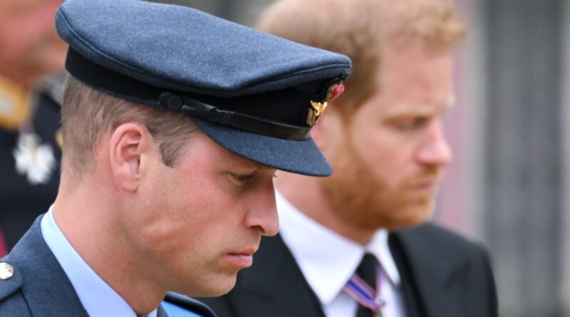 Secondo quanto riferito, il principe Harry e il principe William non si sono ancora parlati dopo il ricambio