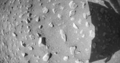 NASA Ingenuity completa il 51° volo su Marte mostrando il cratere Belva