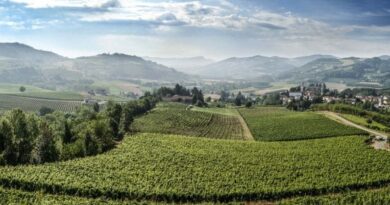 Le bollicine metodo classico più antiche d’Italia: il caso Alta Langa