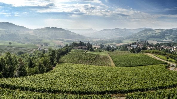 Le bollicine metodo classico più antiche d’Italia: il caso Alta Langa