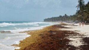 Il sistema Terra è squilibrato, e la temperatura degli oceani batte ogni record