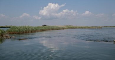 Addio siccità, per l’Autorità di bacino del Po con le precipitazioni di maggio cambio di scenario