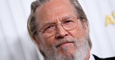 Il tumore di Jeff Bridges di 9 per 12 pollici è ora “grande come un marmo”