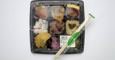Il Giappone e l’Omotenashi: cosa c’è dietro l’ossessione nipponica per la plastica