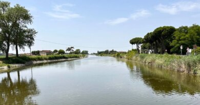 In Romagna si cerca di capire quanto inquinamento abbia lasciato l’alluvione