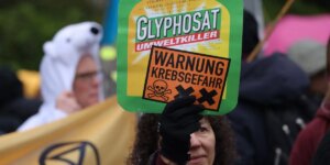 L’Autorità europea per la sicurezza alimentare ha dato un parere positivo a rinnovare l’autorizzazione all’utilizzo del glifosato