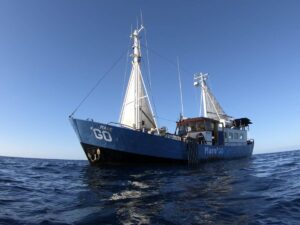 Raggiunge alte velocità e opera nel silenzio: il gommone che supporta l’ong tedesca Mare*Go