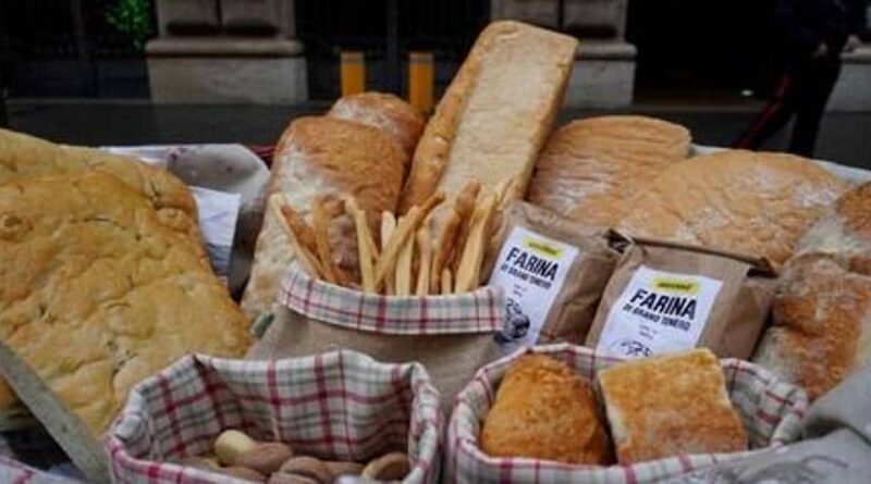 Con stop Russia ad accordo grano torna incubo rialzo prezzi per pane e pasta