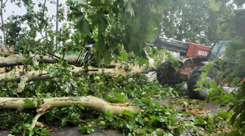 Maltempo, si contano i danni. Bonaccini: chiediamo lo stato di emergenza nazionale
