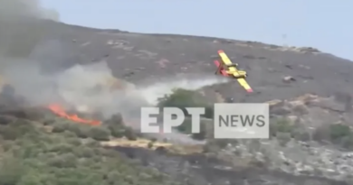 Due piloti sono morti dopo che un aereo antincendio si è schiantato in Grecia