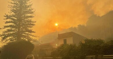 Incendi: da inizio anno al 27 luglio in fumo 51.386 ettari in Italia