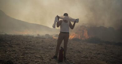 Allarme incendi, emissioni come 10 milioni di auto