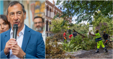 Clima, a Milano parchi ancora chiusi dopo la strage di alberi. “Cosa serve? Un grande piano di sostituzione”. Ma il 25% delle nuove piante muore a causa dell’incuria