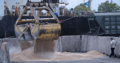 I porti ucraini sul Danubio sono diventati fondamentali