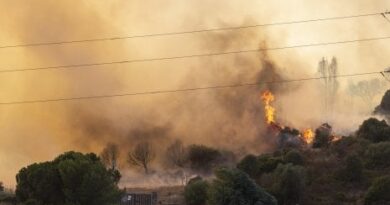 Incendi in Sardegna, il Maestrale fa paura: sale a tre il bilancio dei feriti