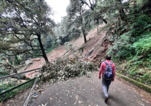 India: 72 morti per le frane provocate dal maltempo