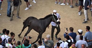 Palio Siena, vince contrada dell’Oca con cavallo scosso