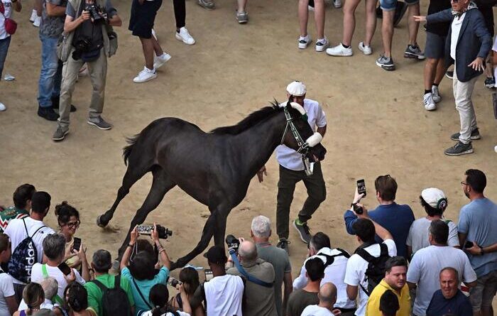 Palio Siena, vince contrada dell’Oca con cavallo scosso