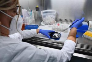 Nuova variante Covid Pirola, preoccupano le sue mutazioni