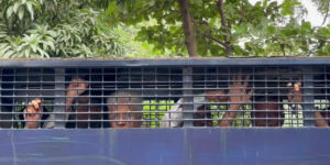 In Bangladesh due attivisti sono stati condannati a due anni di carcere per il loro lavoro di documentazione delle violazioni di diritti umani nel paese