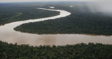 14 persone sono morte in un incidente aereo nello stato di Amazonas, nel nord del Brasile