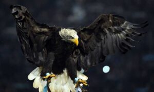 Lazio, esordio amaro in Youth League: l’Atletico vince 0-2