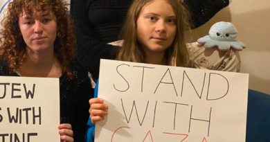 “Solidarietà alla Palestina. L’assurda protesta di Greta Thunberg