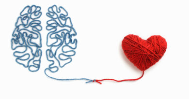 Cervello, cuore e reni, una proteina li unisce come un filo rosso