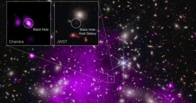 Il telescopio spaziale James Webb e Chandra osservano un buco nero molto distante