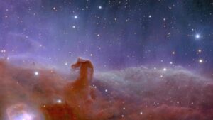 Telescopio spaziale Euclid: ESA svela le prime immagini, ma il viaggio è solo all’inizio