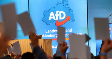Le autorità tedesche hanno classificato la sezione dell’AfD dello stato della Sassonia-Anhalt come contraria all’ordine democratico