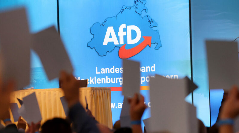 Le autorità tedesche hanno classificato la sezione dell’AfD dello stato della Sassonia-Anhalt come contraria all’ordine democratico