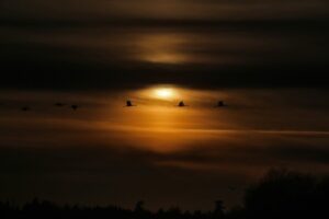 Il cielo di dicembre accoglie l’inverno col giorno più corto dell’anno