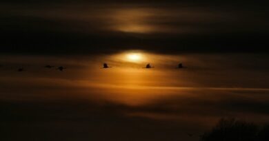 Il cielo di dicembre accoglie l’inverno col giorno più corto dell’anno