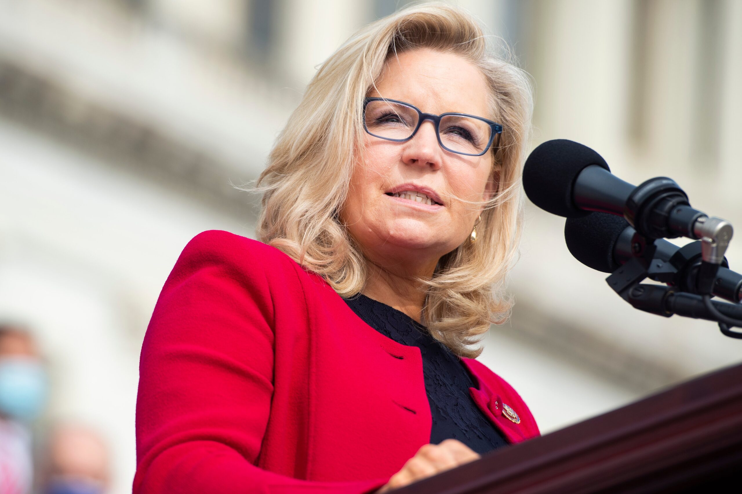 Liz Cheney – deputata del GOP fino all’anno scorso – dice che i democratici devono riprendersi la Camera