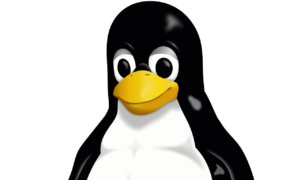 L’incubo di Windows sta arrivando su Linux