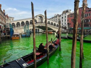 Acque colorate di verde: l’ennesima offensiva gretina da Venezia a Roma