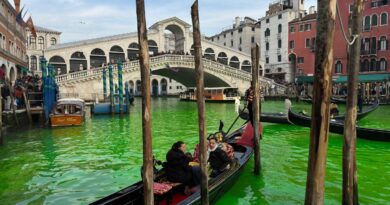 Acque colorate di verde: l’ennesima offensiva gretina da Venezia a Roma